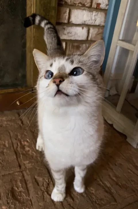 billy